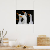 Poster Troupeau de canards blancs photographique (Cuisine)