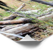 Poster Troupeau de chevaux sauvages (Coin)