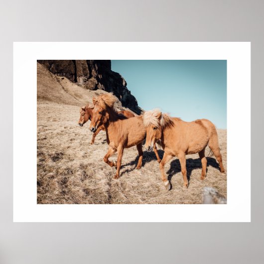 Poster Troupeau de poneys sauvages (Devant)