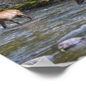 Poster Troupeau de Wapitis dans la rivière Big Thompson (Coin)