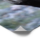 Poster Troupeau de wapitis | Mt. Baring, Washington (Coin)
