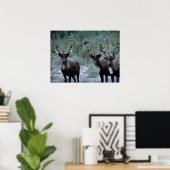Poster Troupeau de wapitis | Mt. Baring, Washington (Bureau à domicile)