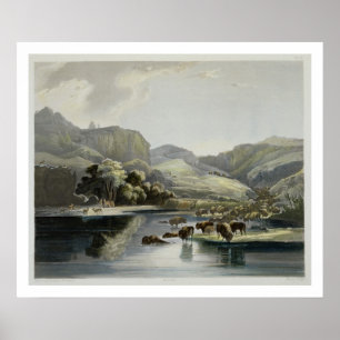 Poster Troupeaux de bisons et d'élans sur le Missouri sup