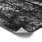 Poster Trous de l'arbre (b/w) (Coin)