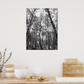 Poster Trous de l'arbre (b/w) (Cuisine)