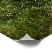 Poster Trousse d'eau du désert (Coin)