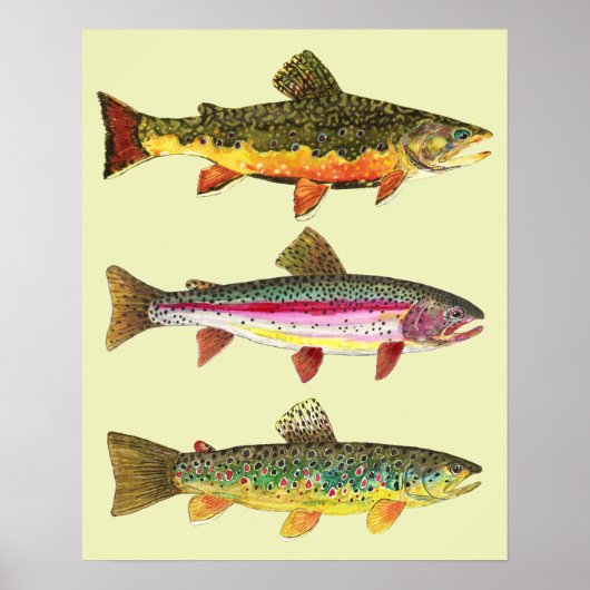 Poster Trout fishing (Devant)