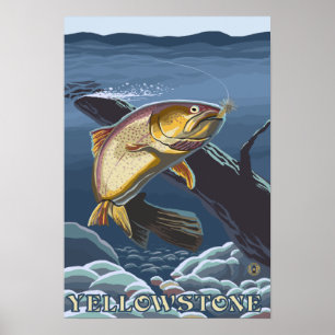 Poster Trout Fishing Cross-Section 5