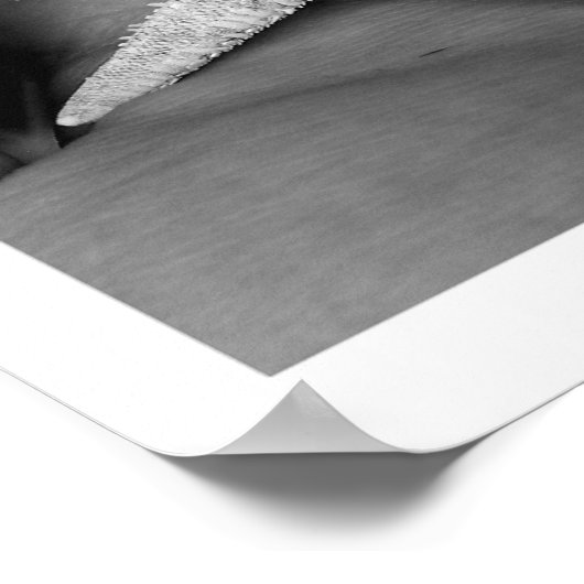 Poster trouvé (Coin)