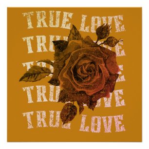 Poster True Love Rose Romantique Saint Valentin B&W