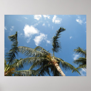 Poster True Relaxation