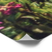 Poster Truebsee, Suisse photographie paysage (Coin)