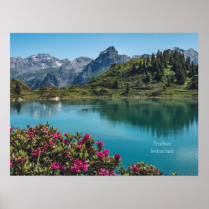 Poster Truebsee, Suisse photographie paysage