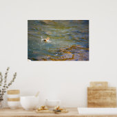 Poster Truite arc-en-ciel (saut) (Cuisine)