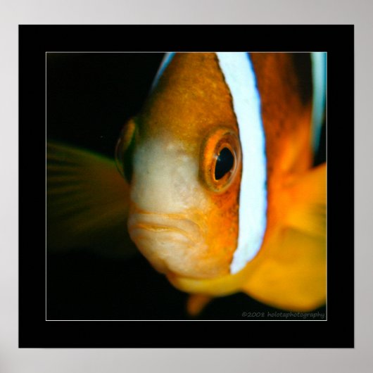 Poster Truk Yamagiri Maru 009bbcr (Devant)