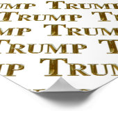 POSTER TRUMP (Coin)