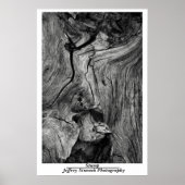 Poster Trump (Devant)