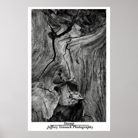 Poster Trump (Devant)