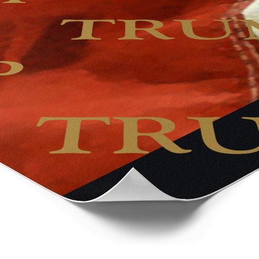 POSTER TRUMP (Coin)