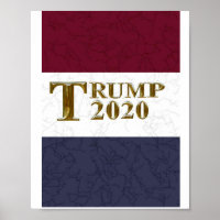 TRUMP 2020