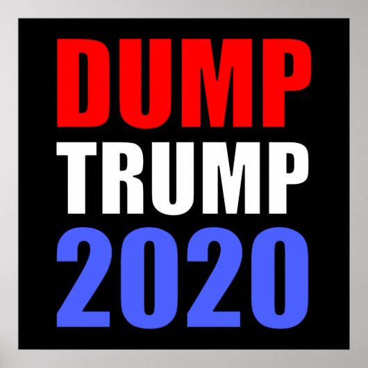 Poster Trump 2020 contre Trump (Devant)