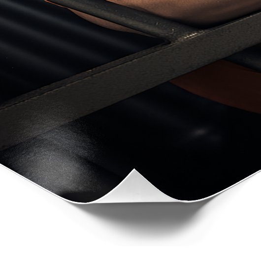 Poster Trump en prison (Coin)