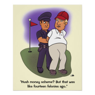 Poster Trump Felonies Glossy