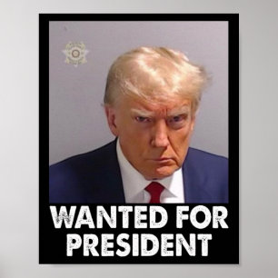 Poster Trump Funny Recherché Pour Le Président 2024