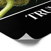 Poster Trump Hair (Coin)