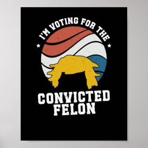 Poster Trump Nous Le Peuple