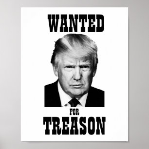 Poster Trump - Trahison Recherchée de l'affiche
