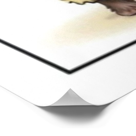 Poster Trump visite Houston (Coin)