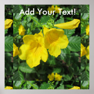 Poster Trumpet Jardin Fleur Jaune