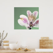 Poster Trumpet Lily (Cuisine)