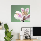 Poster Trumpet Lily (Bureau à domicile)