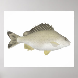 Poster Trumpeter