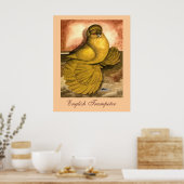 Poster Trumpeter Pigeon (Cuisine)