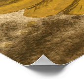 Poster Trumpeter Pigeon (Coin)