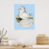 Poster Trumpeter Pigeon White (Cuisine)