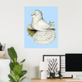 Poster Trumpeter Pigeon White (Bureau à domicile)