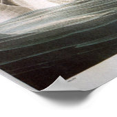 Poster Trumpeter Swan, John James Audubon (Coin)