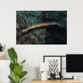 Poster Trumpetfish II (Bureau à domicile)