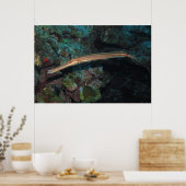 Poster Trumpetfish II (Cuisine)