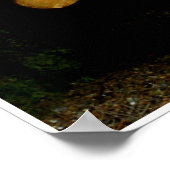 Poster Trunks de Johannes Stötter (Coin)