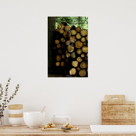 Poster Trunks de Johannes Stötter (Cuisine)