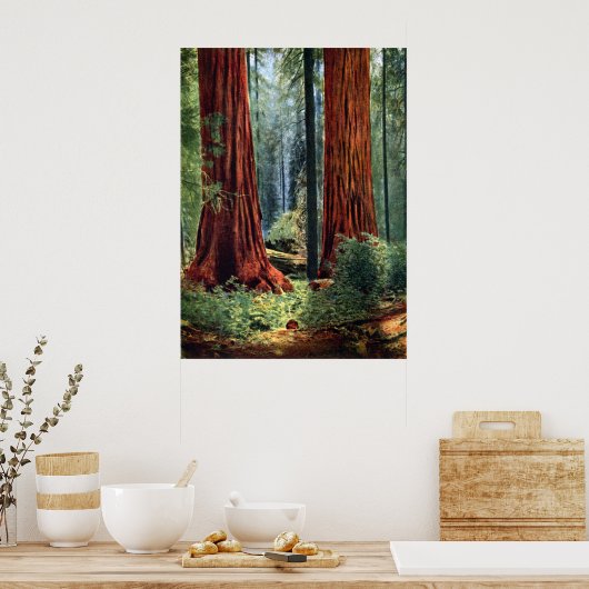 Poster Trunks de séquoia géants (Cuisine)