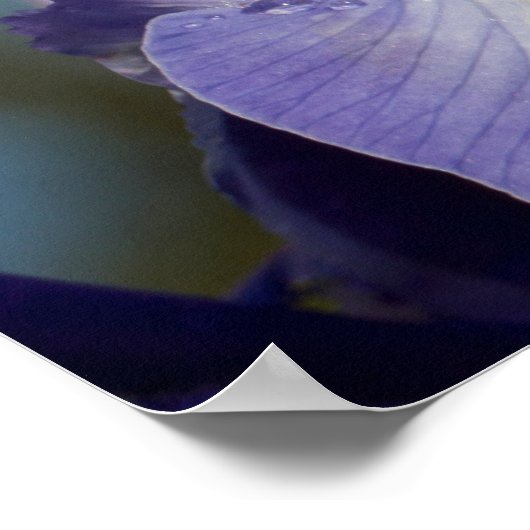 Poster TS Eliot Citer de l'eau goutte sur Iris (Coin)