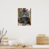 Poster Tsigante (Cuisine)