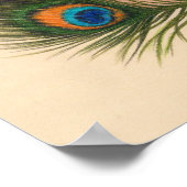 Poster Tsigante (Coin)