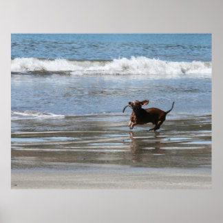 Poster Tsunami Harry